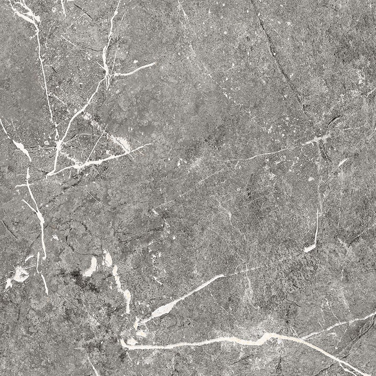 Pavia Grey Matt, фото 2
